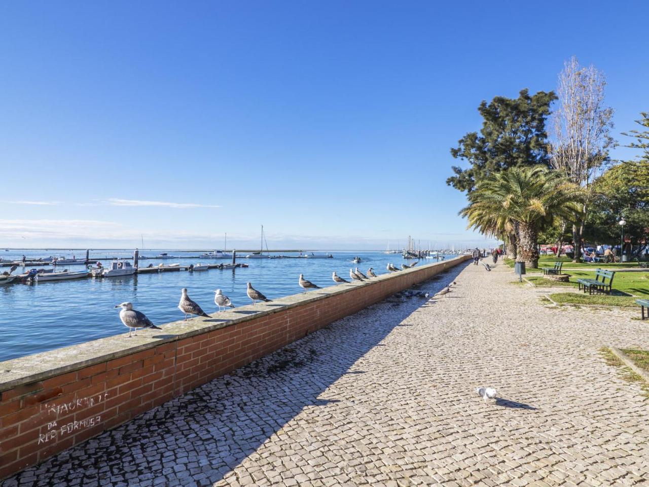 Apartment Apartment T2 Olhao By Interhome Εξωτερικό φωτογραφία